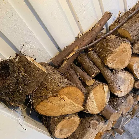 Idyllically Situated Wooden House By The Forest