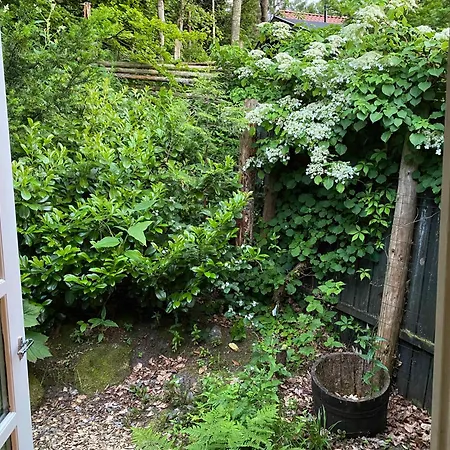 بيت للعطل Idyllically Situated Wooden House By The Forest فيبورغ