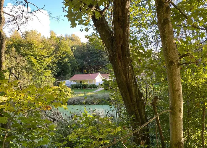 Idyllically Situated Wooden House By The Forest * Viborg